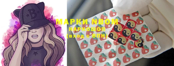 гидра Покровск