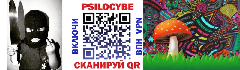 Купить где  Ижевск  Псилоцибиновые грибы Psilocybine cubensis 